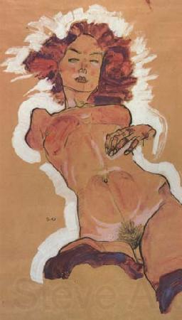 Egon Schiele Female Nude (mk12) Germany oil painting art